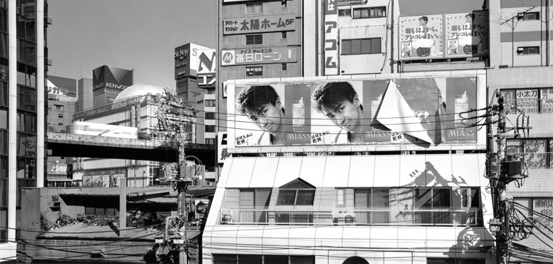 shibuya-view-.jpg